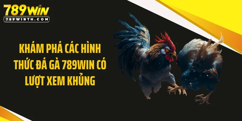 Khám phá các hình thức đá gà 789WIN có lượt xem khủng