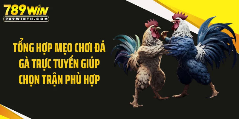 Tổng hợp mẹo chơi đá gà trực tuyến giúp chọn trận phù hợp